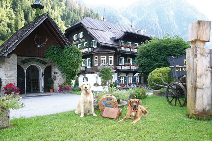 Отель HOTELDORF GRUENER BAUM 4* DE LUXE отдых в Австрии от САН-ТУР