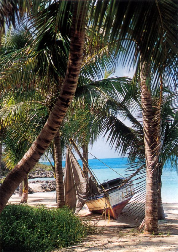 Отель MUSHA CAY 5* - отдых на Багамских островах от САН-ТУР