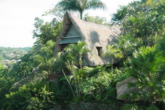 Фото отеля Kupu-Kupu Barong Villas & Tree Spa 5* Убуд Индонезия