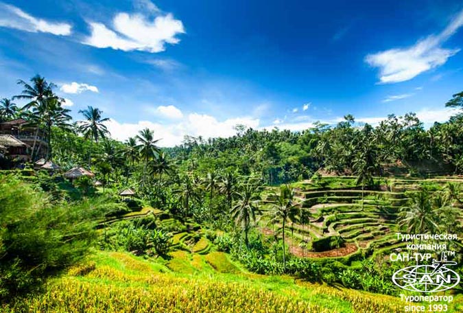 Фото отеля Le Meridien Bali Jimbaran 5* Индонезия