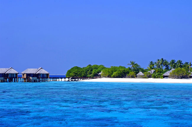 THE BEACH HOUSE AT MANAFARU MALDIVES 5* LUXE (EX. MANAFARU RETREAT)