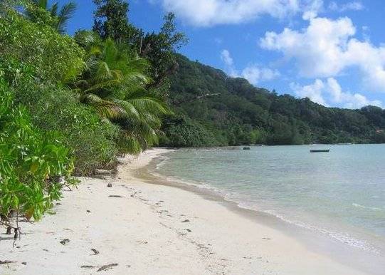 Blue Lagoon Chalets 4*, (о.Маэ) - туры на Сейшелы