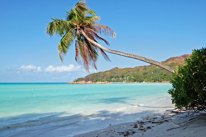 Сейшельские острова фото - САН-ТУР