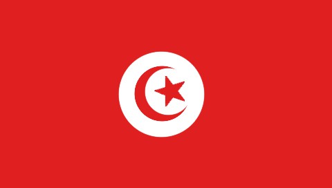 Туры в Тунис из Москвы отдых в Тунисе