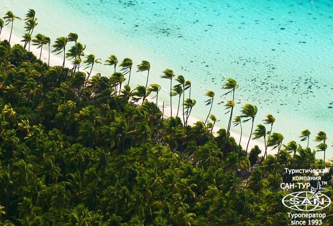 Фото отеля The Brando 5* Французская полинезия